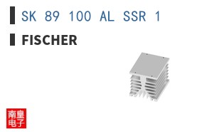 SK 89 100 AL SSR 1