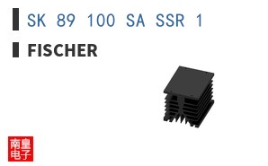 SK 89 100 SA SSR 1
