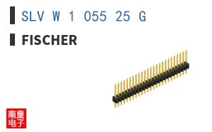 SLV W 1 055 25 G