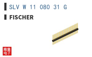 SLV W 11 080 31 G