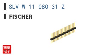 SLV W 11 080 31 Z