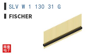 SLV W 1 130 31 G