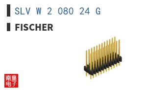 SLV W 2 080 24 G