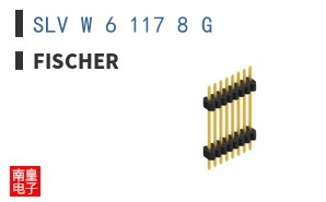 SLV W 6 117 8 G