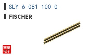 SLY 6 081 100 G