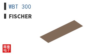WBT 300