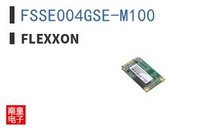 FSSE004GSE-M100