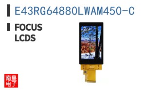 E43RG64880LWAM450-C