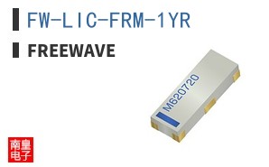FW-LIC-FRM-1YR