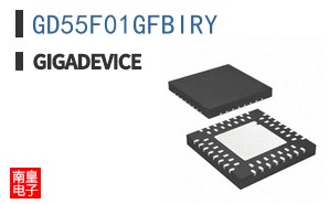 GD55F01GFBIRY