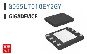 GD55LT01GEY2GY