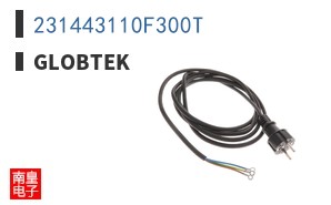 231443110F300T