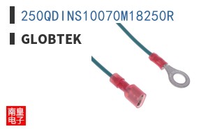 250QDINS10070M18250R