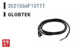 3021066F10TTT