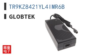 TR9KZ8421YL4IMR6B