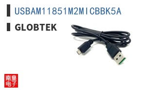 USBAM11851M2MICBBK5A