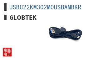 USBC22KM302M0USBAMBKR