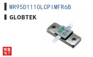 WR95D1110LCPIMFR6B
