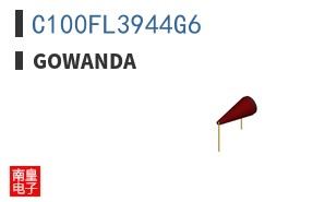 C100FL3944G6