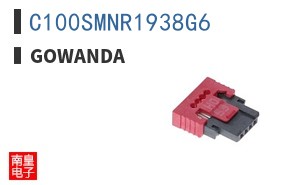 C100SMNR1938G6