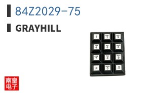 84Z2029-75