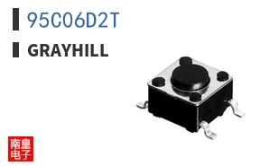 95C06D2T