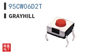 95CW06D2T