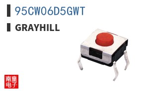 95CW06D5GWT