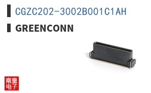 CGZC202-3002B001C1AH