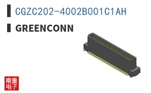 CGZC202-4002B001C1AH