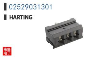 02529031301