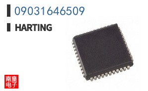 09031646509