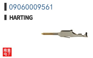 09060009561