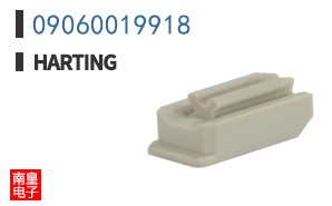 09060019918