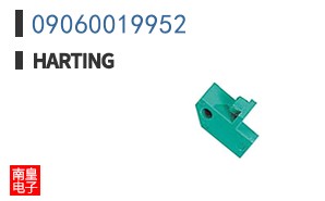 09060019952