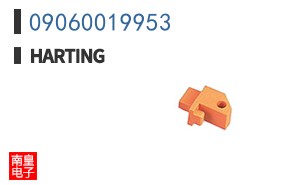 09060019953