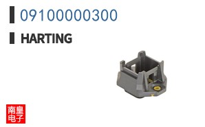 09100000300