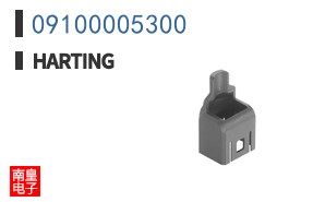 09100005300
