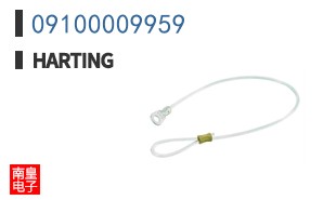 09100009959