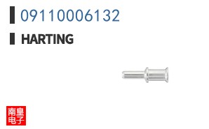 09110006132