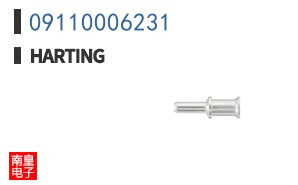 09110006231