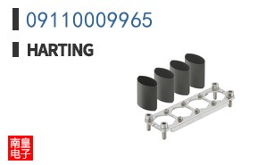 09110009965