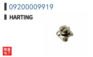 09200009919