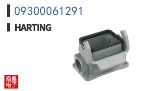 09300061291