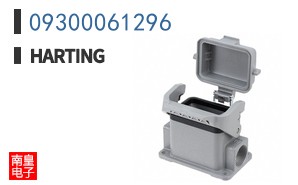 09300061296