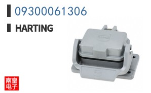 09300061306