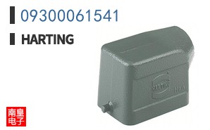09300061541