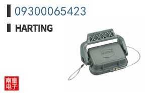 09300065423