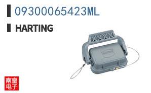 09300065423ML