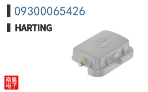 09300065426